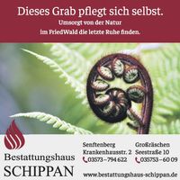 8-SFB Bestatt. Schippan